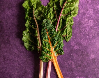 Strukturierter Auberginen-Fotografie Hintergrund: Food & Produkt-Styling