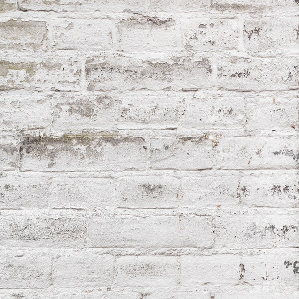 White brick wall backdrop, white bricks, brick wall photo surface, vinyl photography backdrop, wall backdrop, brickwork, brick wall surface