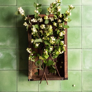 May include: A wooden box filled with white berries and green leaves against a green tiled background.