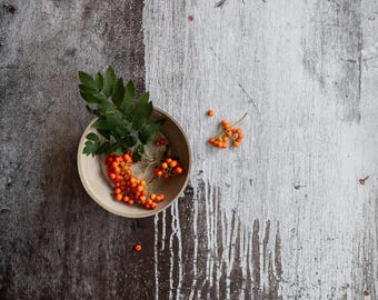 Rustic Brown Wood Vinyl Photography Backdrop: Dripping White Paint