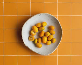 Orange tile food and product photo backdrop for studio photographers