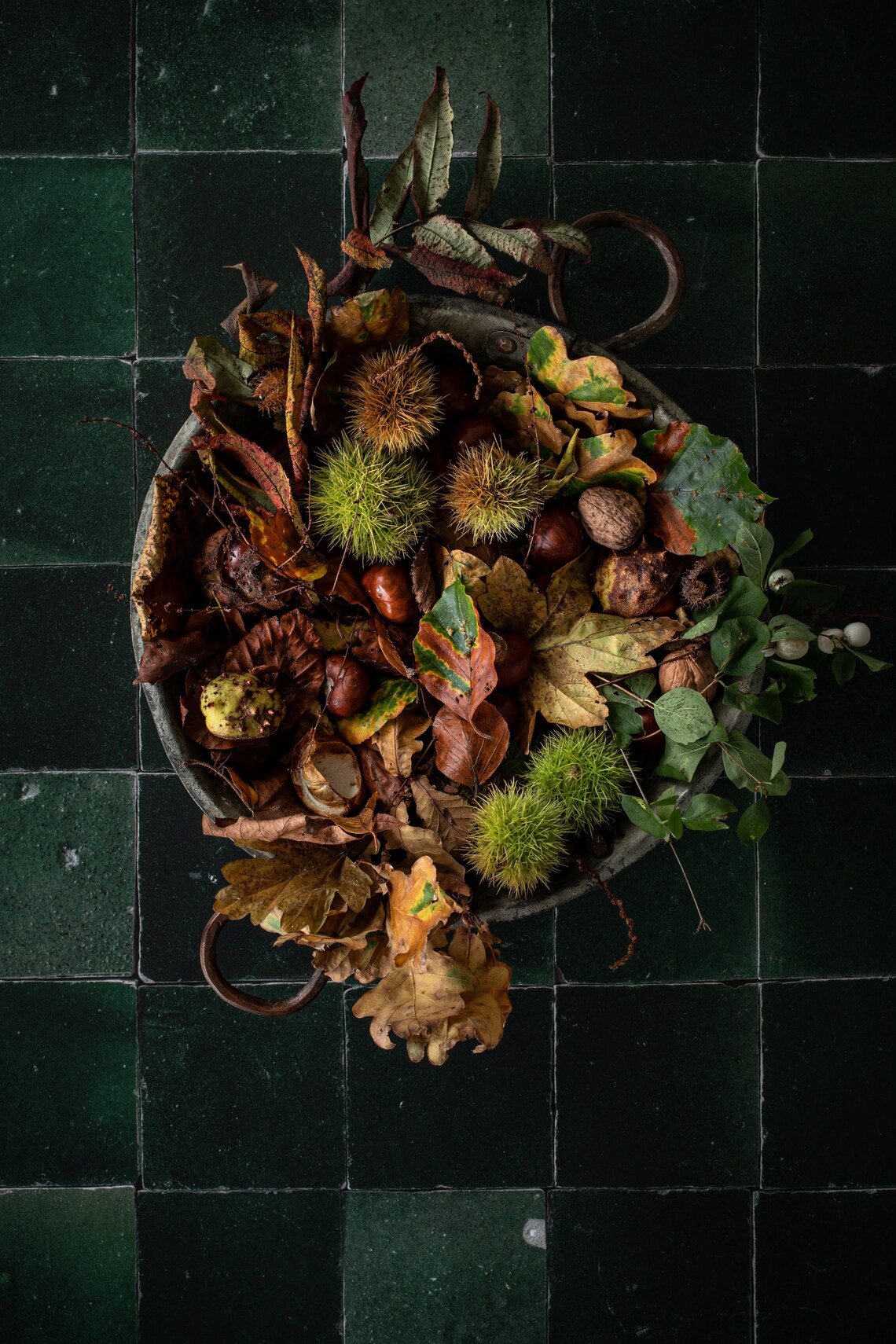 Tile Photography Backdrop Green Backdrop Tiles Backdrop Etsy