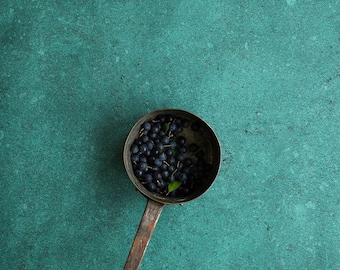 Pine green vinyl print for foodstyling, foodphotography, productstyling, productphotography.