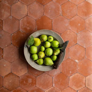 May include: A round, light-colored ceramic bowl filled with various green pears and apples, accompanied by a dark-handled knife. The bowl rests on a surface covered in terracotta-colored hexagonal tiles with visible grout lines.