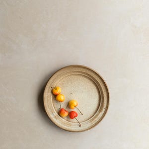 Ljusbeige gipsbakgrund för mat- och produktfotografering: Betong, vägg, cement