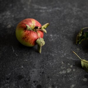 Weathered stone, stone backdrop, dark backdrop, photography backgrounds, black vinyl backdrop, backdrops for foodphotography, surfaces image 5