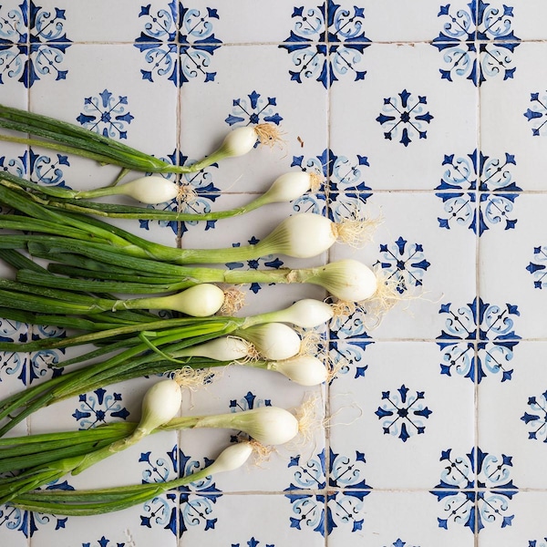 Azulejo Tile Vinyl Photography Backdrop: Blue & White Portugese Design