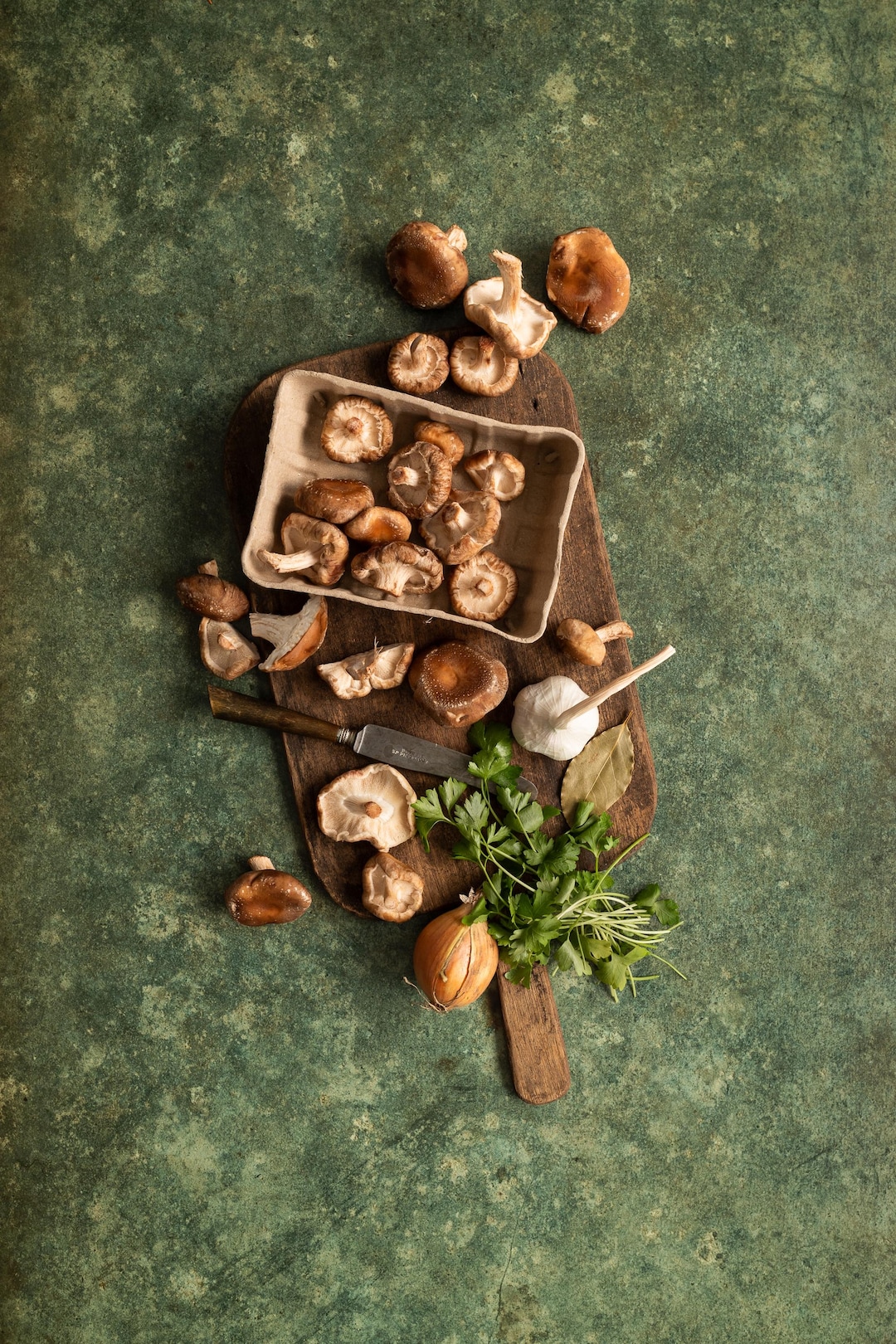Organic Green Vinyl Photography Backdrop: Food Styling Surface - Etsy