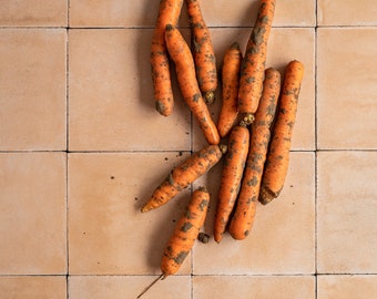 Orange tiles, terracotta tiles, tile photography backdrop, tile backdrop, vinyl backdrops, foodphotography background, backdrops foodstyling