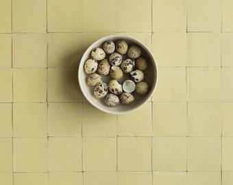 Light Yellow Tile Backdrop, Wipeable Vinyl, Photography Surface