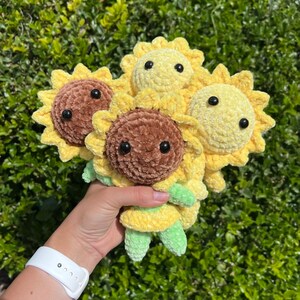 Sunflower Boi and Sun Girl 4in1 Crochet Pattern PDF image 5