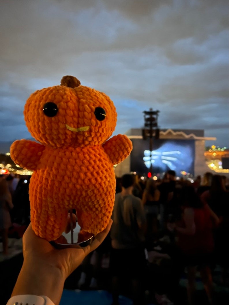 Peut inclure: Un jouet en peluche en forme de citrouille orange crochet&eacute; avec un visage souriant et des yeux noirs. Le jouet est tenu par la main d'une personne devant un arri&egrave;re-plan flou de personnes lors d'un concert.
