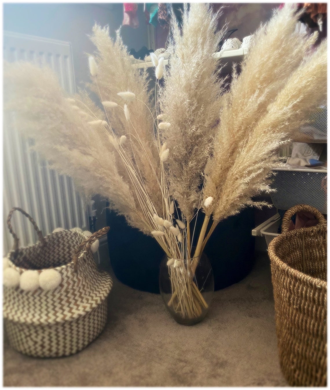 Naturally dried pampas grass Etsy