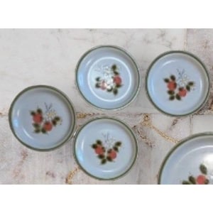 May include: A collection of small, light blue ceramic plates with a floral design. Each plate features a central arrangement of red and white flowers with green leaves, and a green rim. The plates are arranged on a light-colored surface.