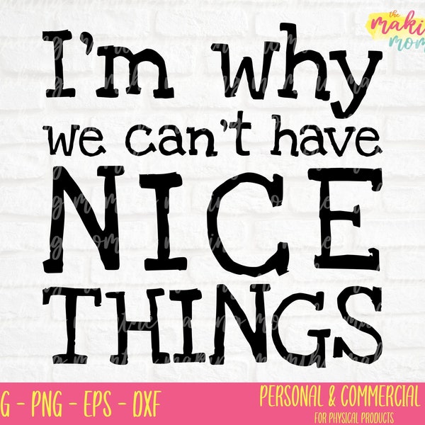 We Can't Have Nice Things SVG - Kids Shirt SVG - Funny Kids Shirt - Funny Kids SVG - Boys Shirt - Toddler Shirt - Kids Svg - Funny svg -png