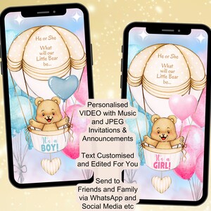 Annuncio di rivelazione del sesso di Little Bear Boy/Girl, JPEG e VIDEO con annuncio musicale, animato, post sui social media