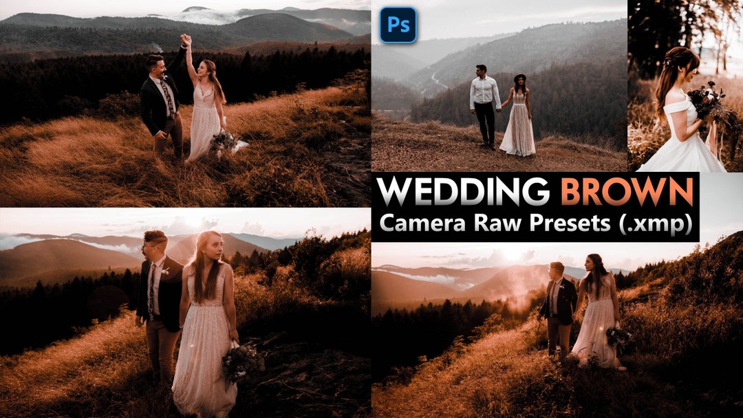 5 Camera Raw Presets Wedding Etsy