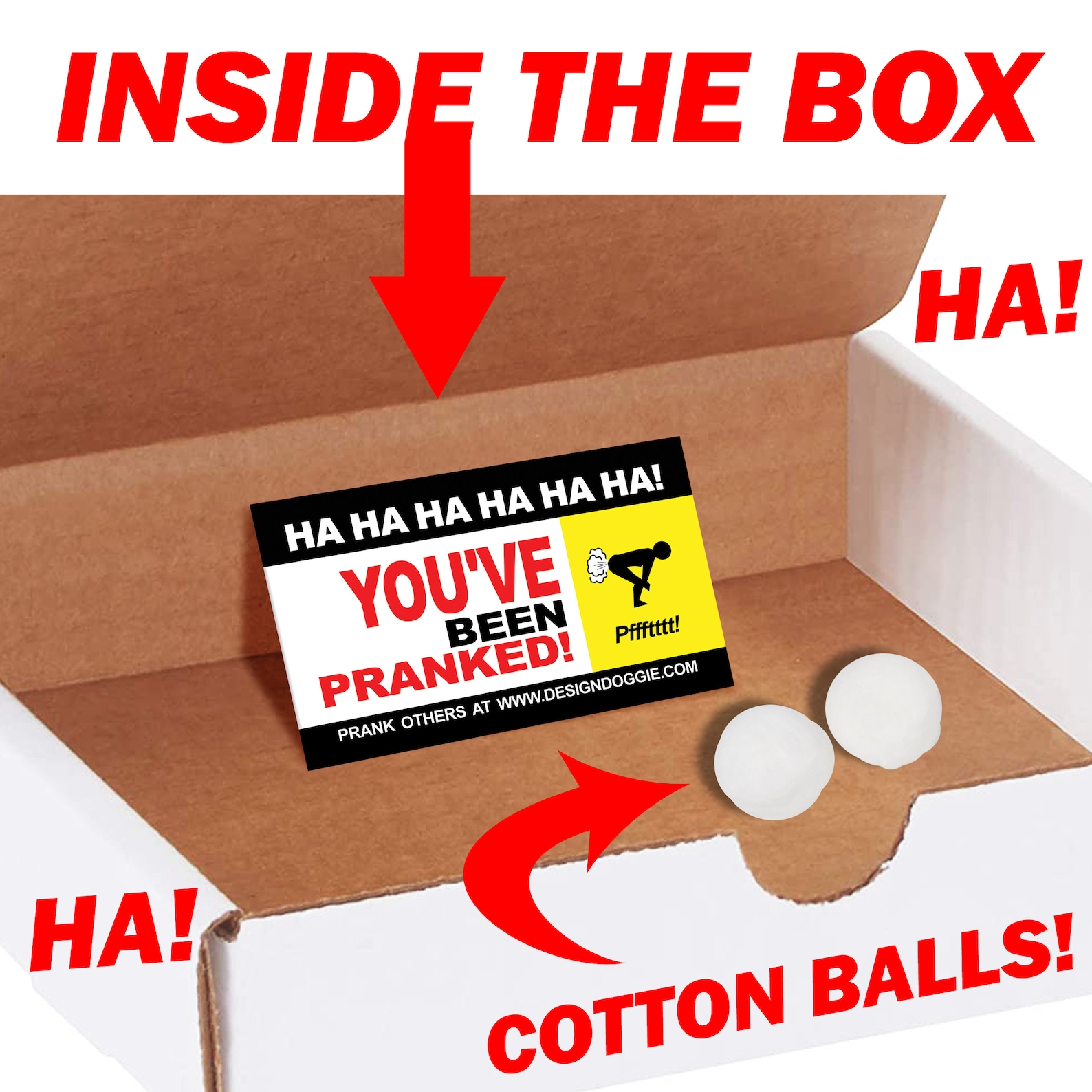 Prank Mail Ghost Poop Prank Box Gag Gift Fun Prank gets Etsy