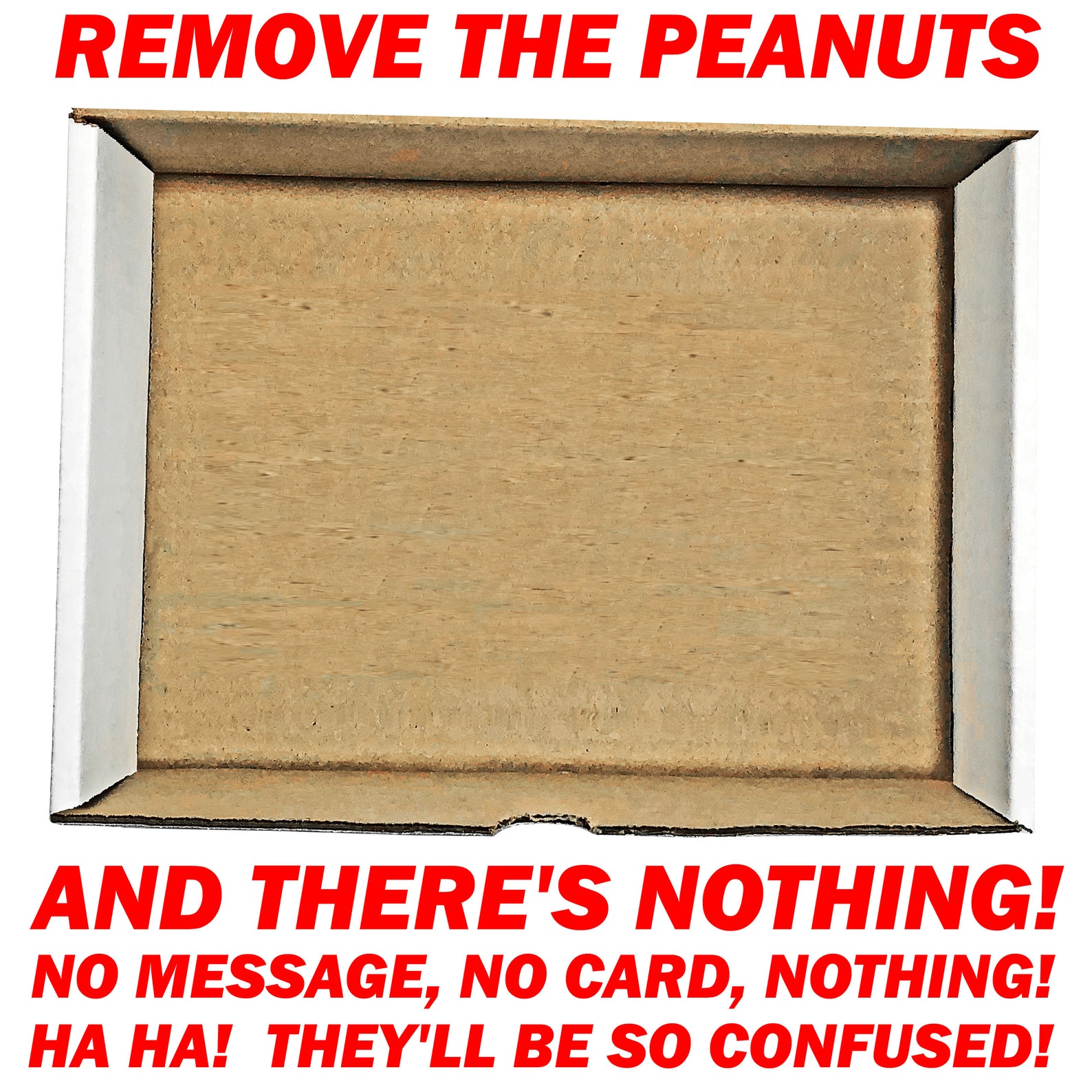 Empty Box Prank Mail Prank Box Gag Gift Full of Nothing but Etsy