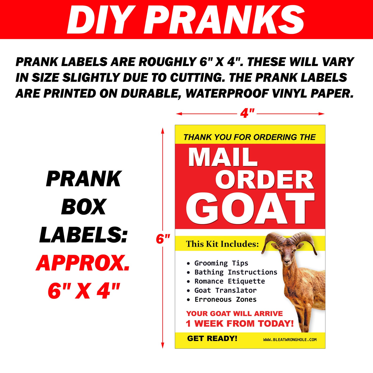 DIY Prank Box Label ONLY We'll Send You a Prank Box - Etsy