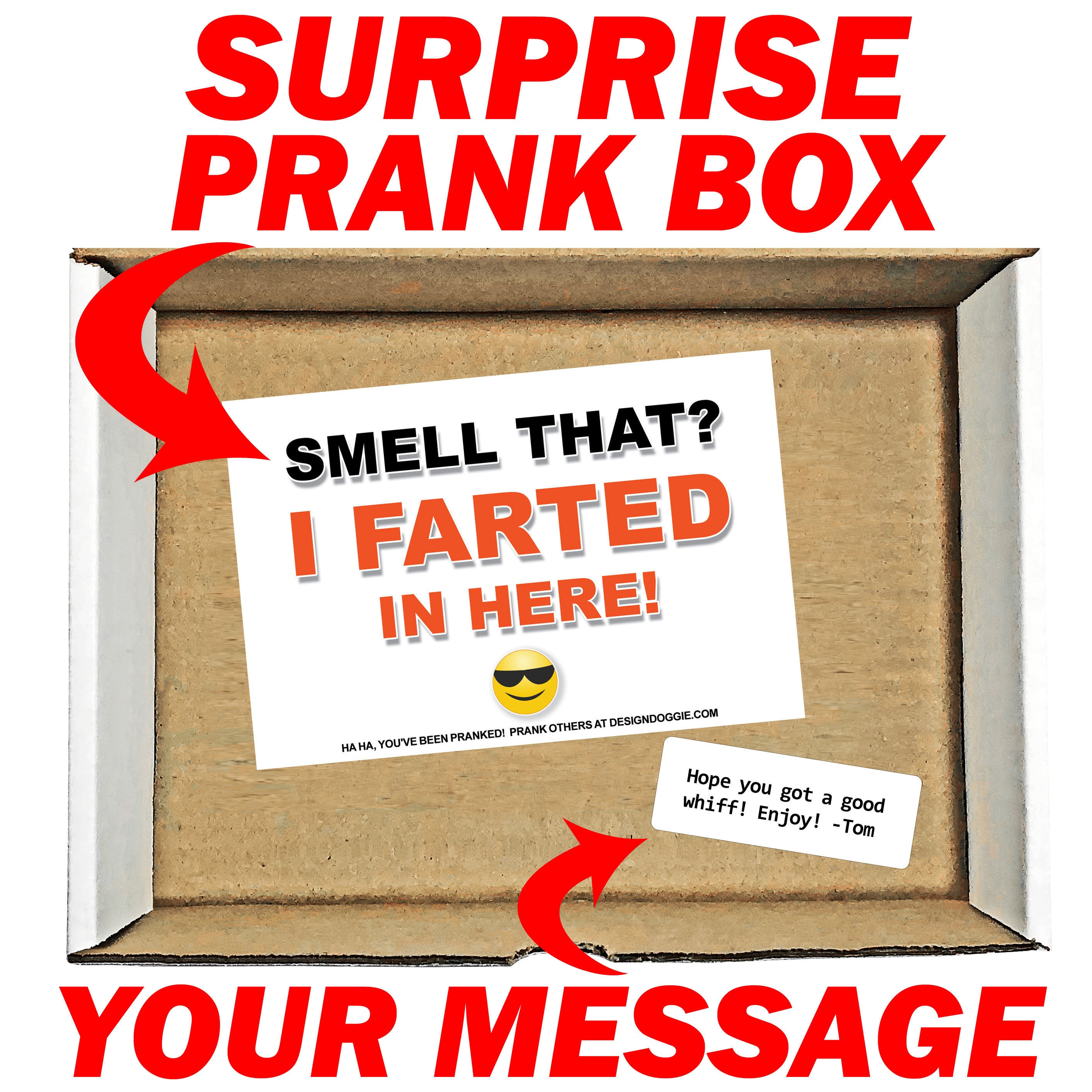 Prank Mail Smell that I Farted in here Surprise Prank Box Etsy