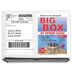 Prank Mail - Big Box of Spider Eggs Prank Box Gag Gift!  Funny Prank gets sent directly to a Loved One/Girlfriend/Victim/Foe 100% Anonymous