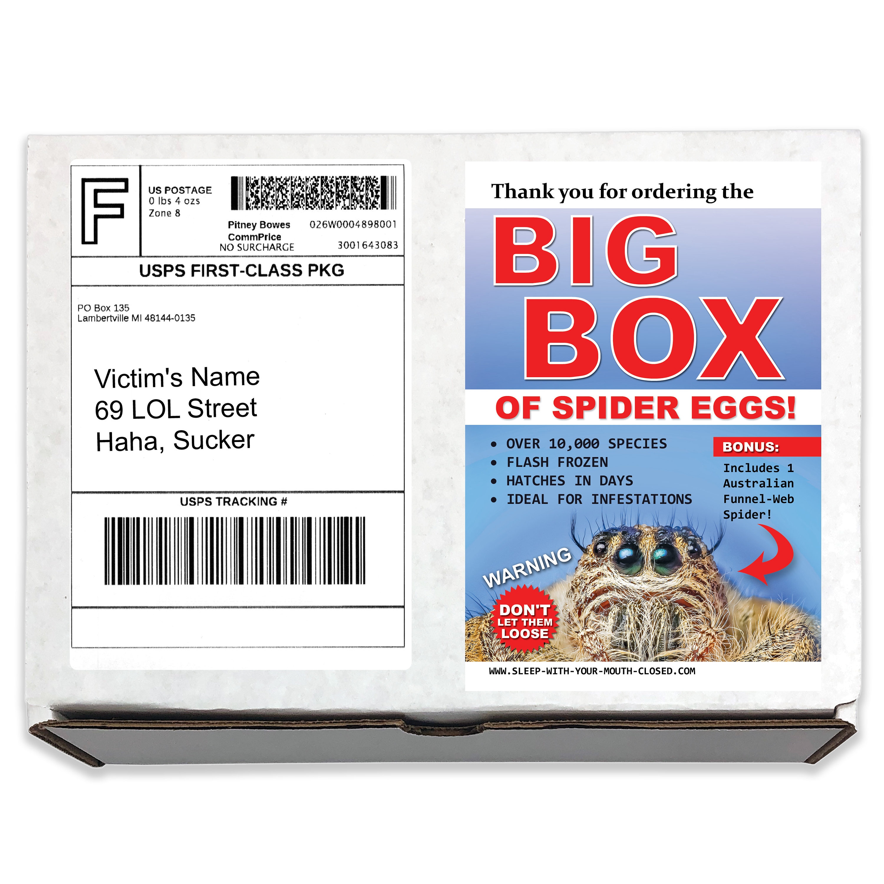 Spider Eggs Prank Box: Anonymous Gag Gift - Etsy