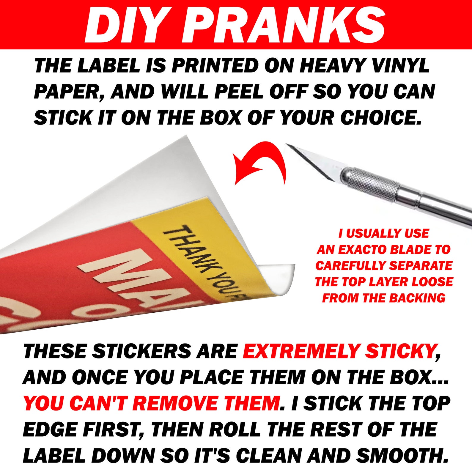 DIY Prank Box Label ONLY We'll Send You a Prank Box | Etsy
