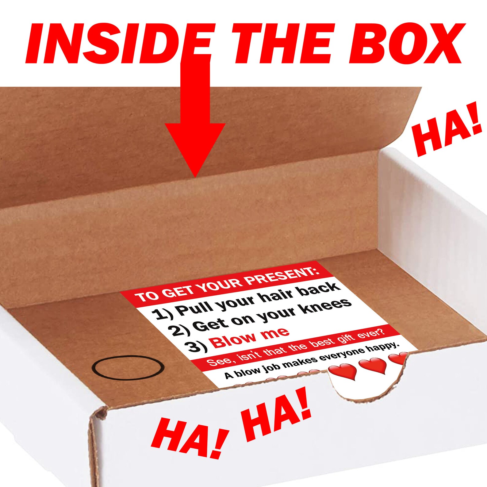 Prank Mail Valentines Prank Box Gag Gift Valentine's Etsy