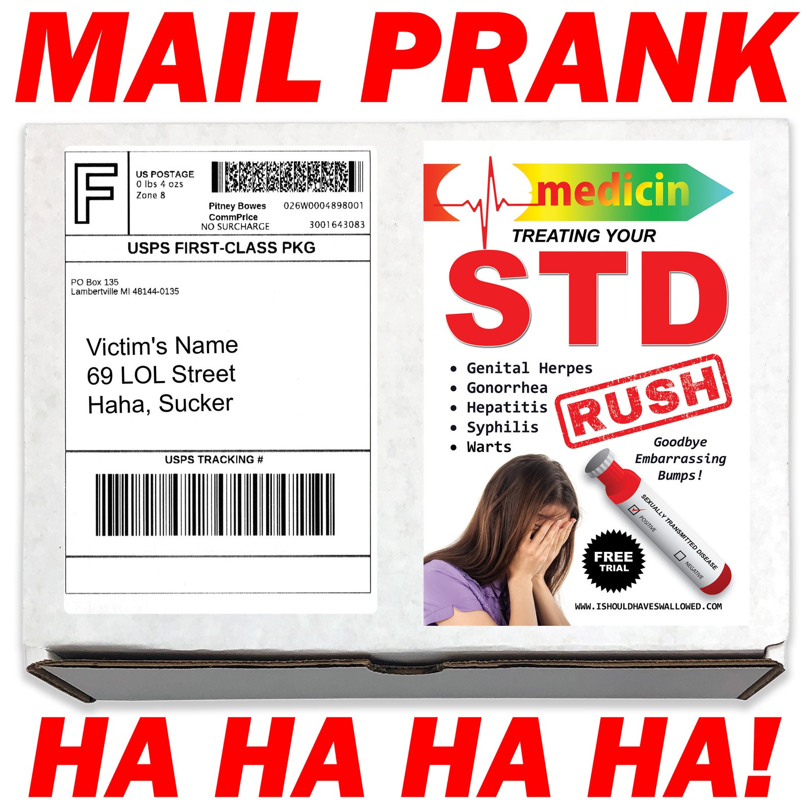 Std Prank - s3gf1k5