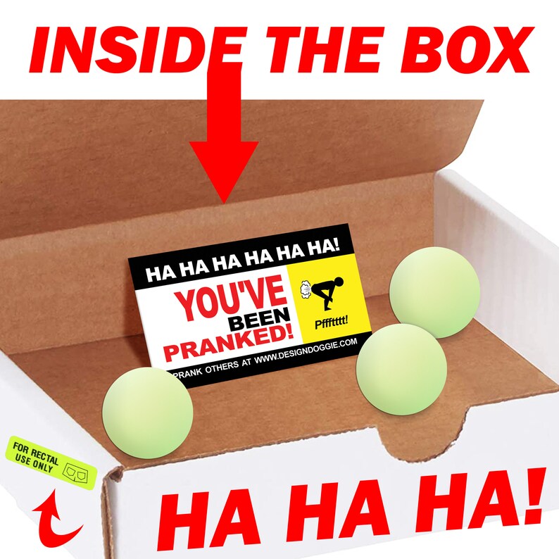 Fun Prank Practical Joke Mail Gag Gift Mailer the Biggest Etsy