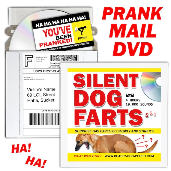 Do Dogs Get Embarrassed When They Fart