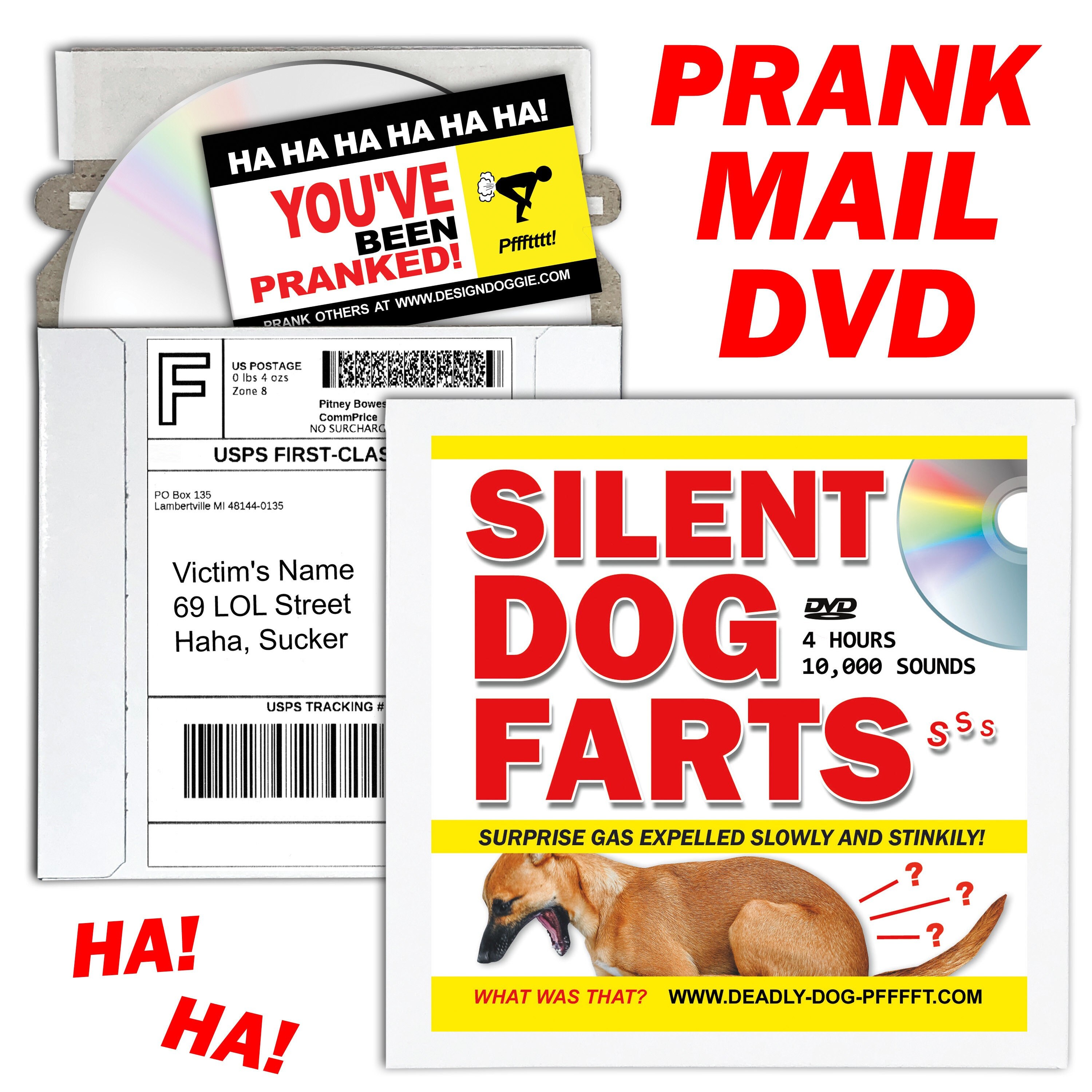 Do Dogs Feel Embarrassed When They Fart