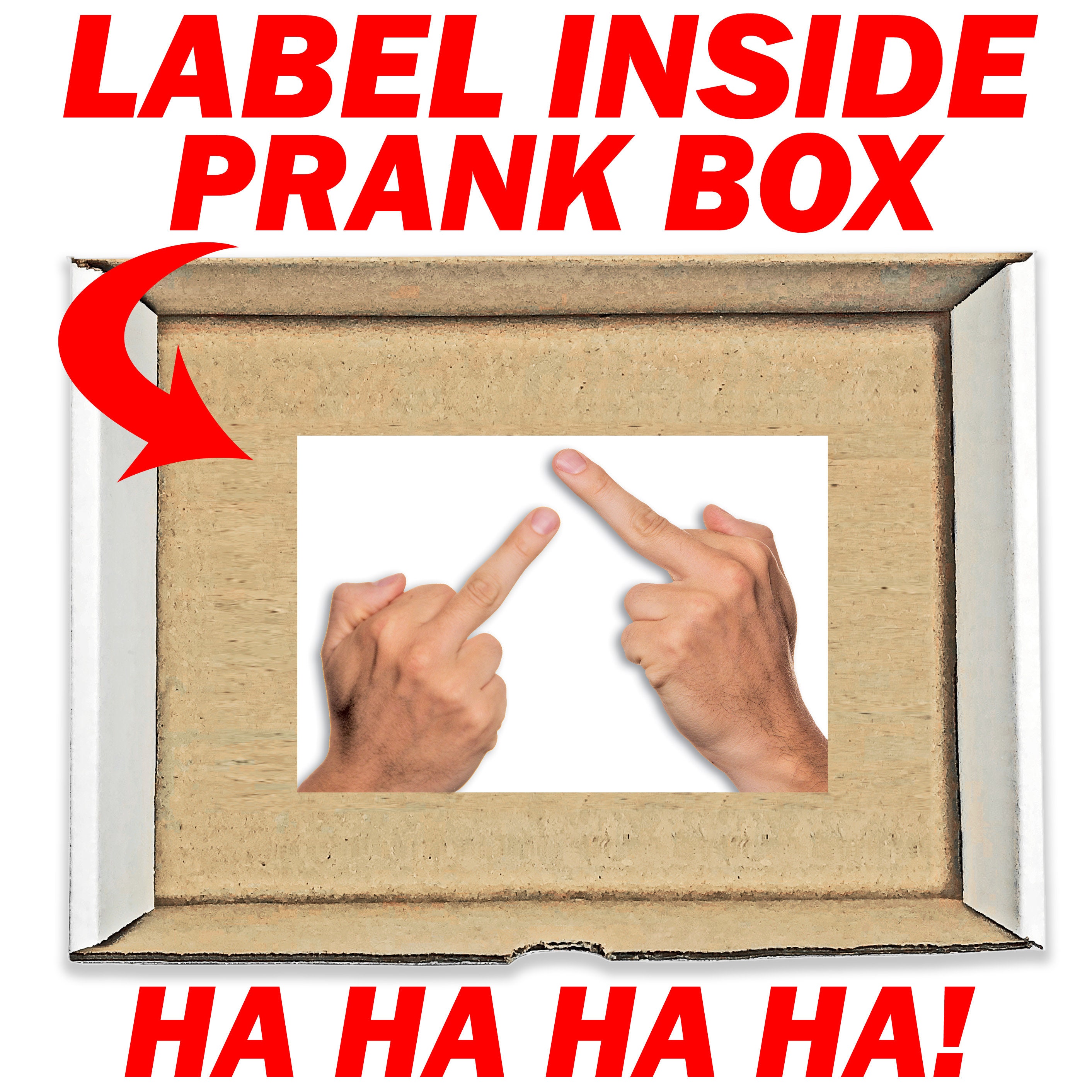 Double Middle Finger Prank Box: Anonymous Gag Gift - Etsy