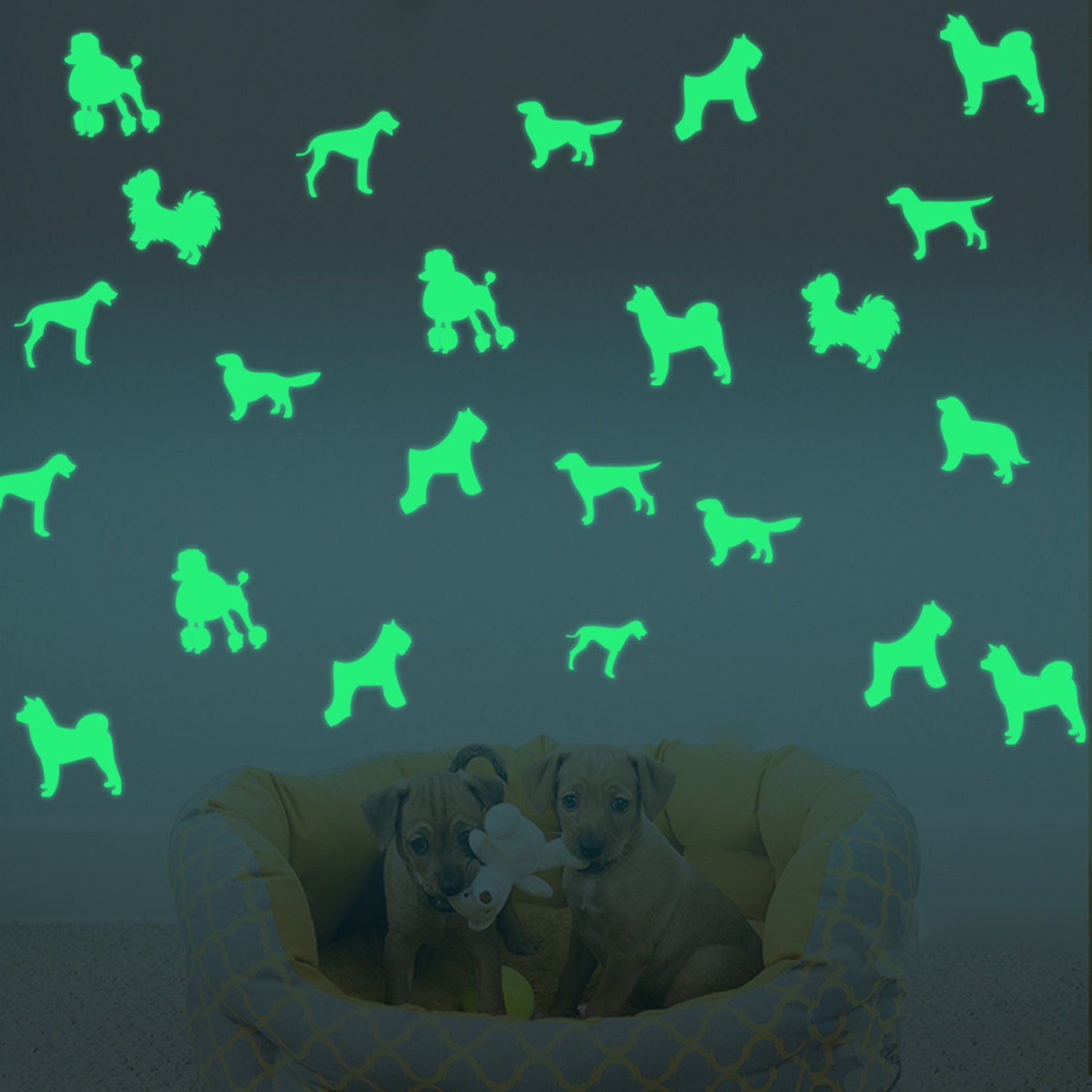 Glow in the Dark Dogs Sheet size 11.4 inch x 8.26 inch 29 Etsy