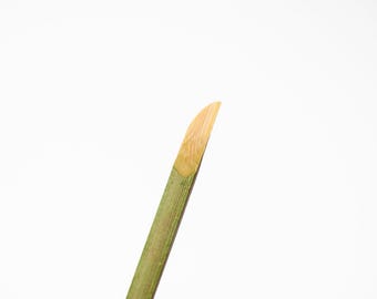 Bamboo spatula