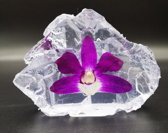 Real Orchid In Resin