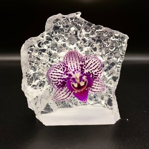 Real Orchid In Resin