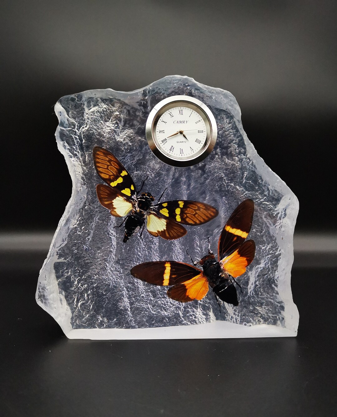 Real Insect in Resin Paperweight - Etsy