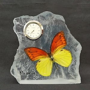 Deco Clock Real Butterfly In Resin (Orange Tip)
