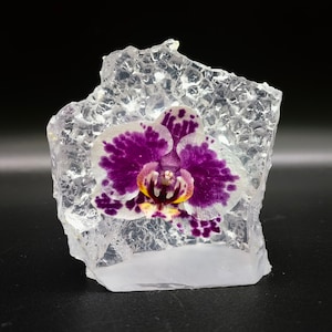 Real Orchid In Resin