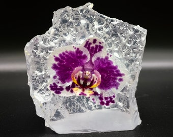 Real Orchid In Resin