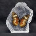 see more listings in the Butterfly Crystal Resin section