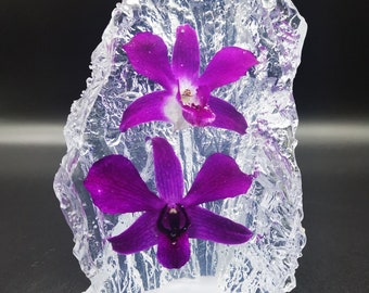 Real Orchid In Resin