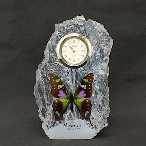 Deco Clock Real Butterfly In Resin (Graphium Weiskei)