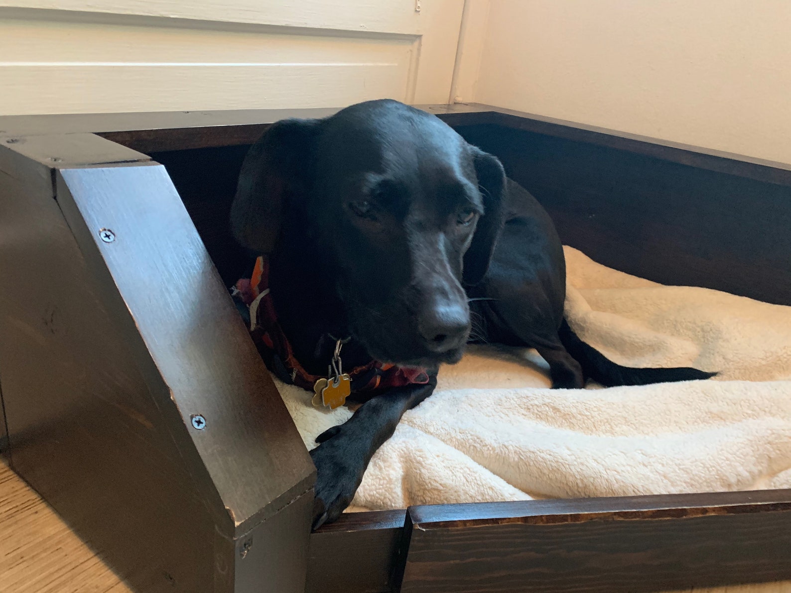 Corner Modern Dog House Wooden Pet House Corner wooden Dog Etsy