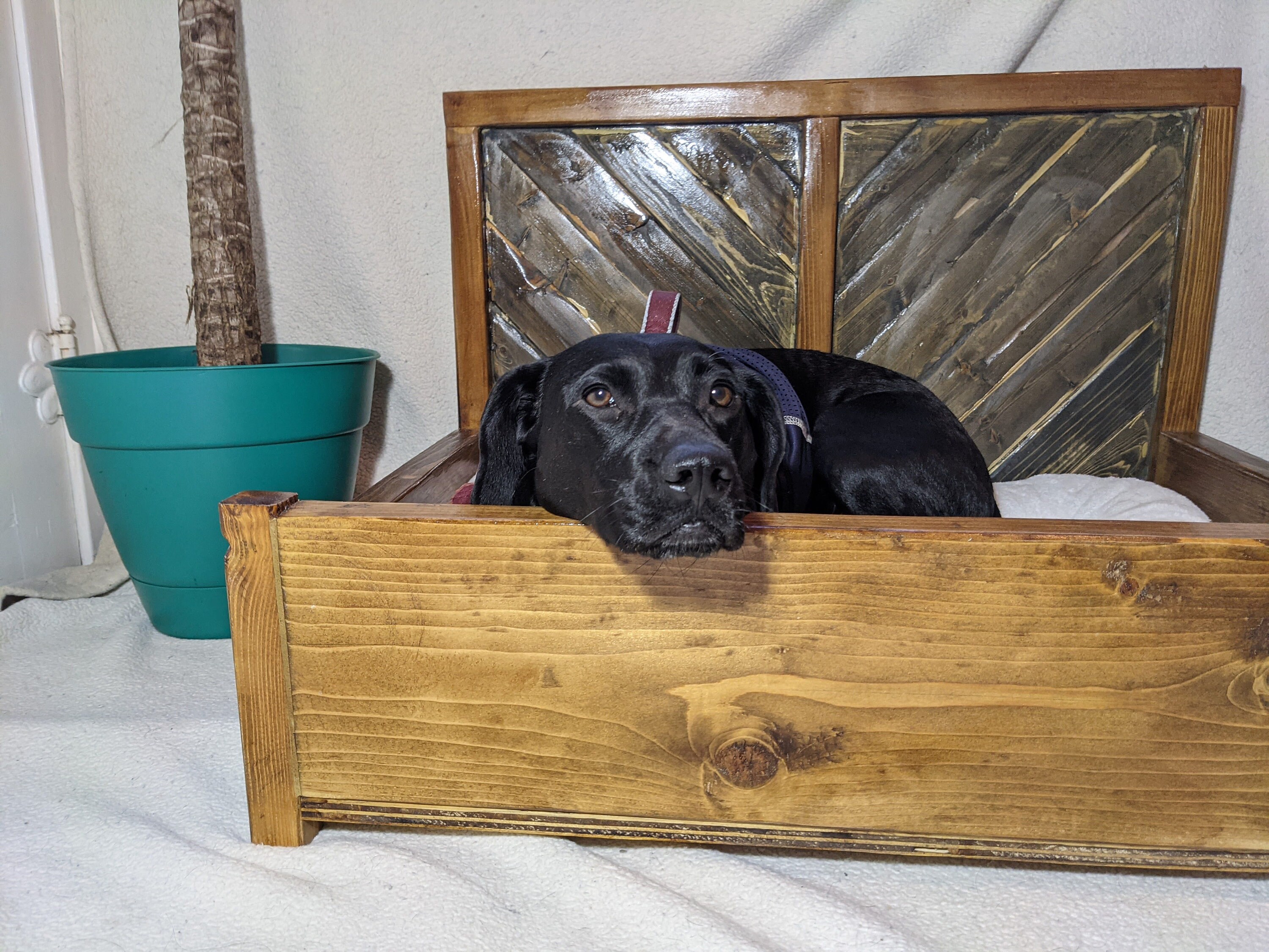Dog beddog bed framesolid wood dog bedfarmhouse dog Etsy