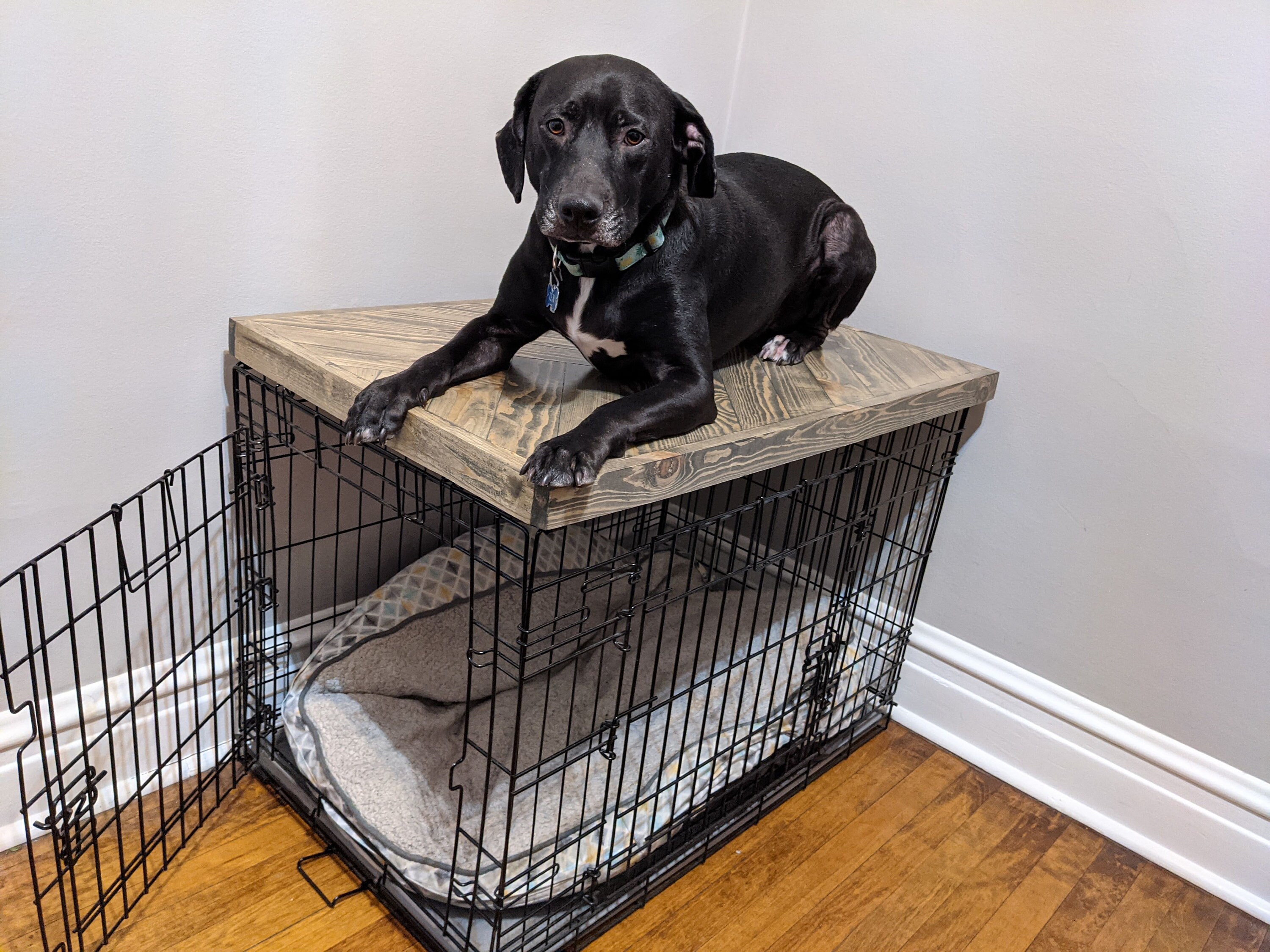 Dog crate topper Dog Crate Cover Dog Crate Table Top Dog Etsy