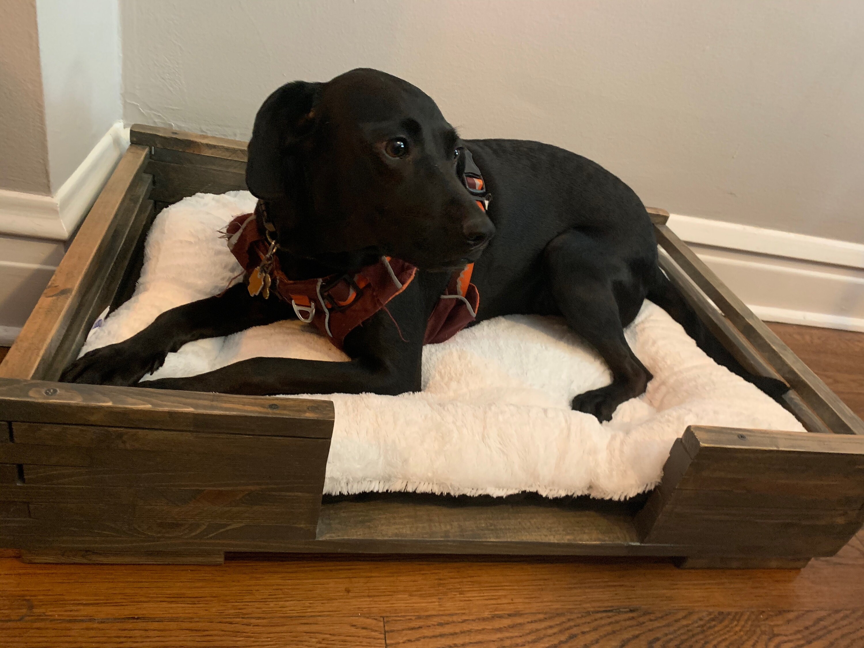 Reclaimed wood dog bed Patio dog bed Rustic bed Dog House Etsy
