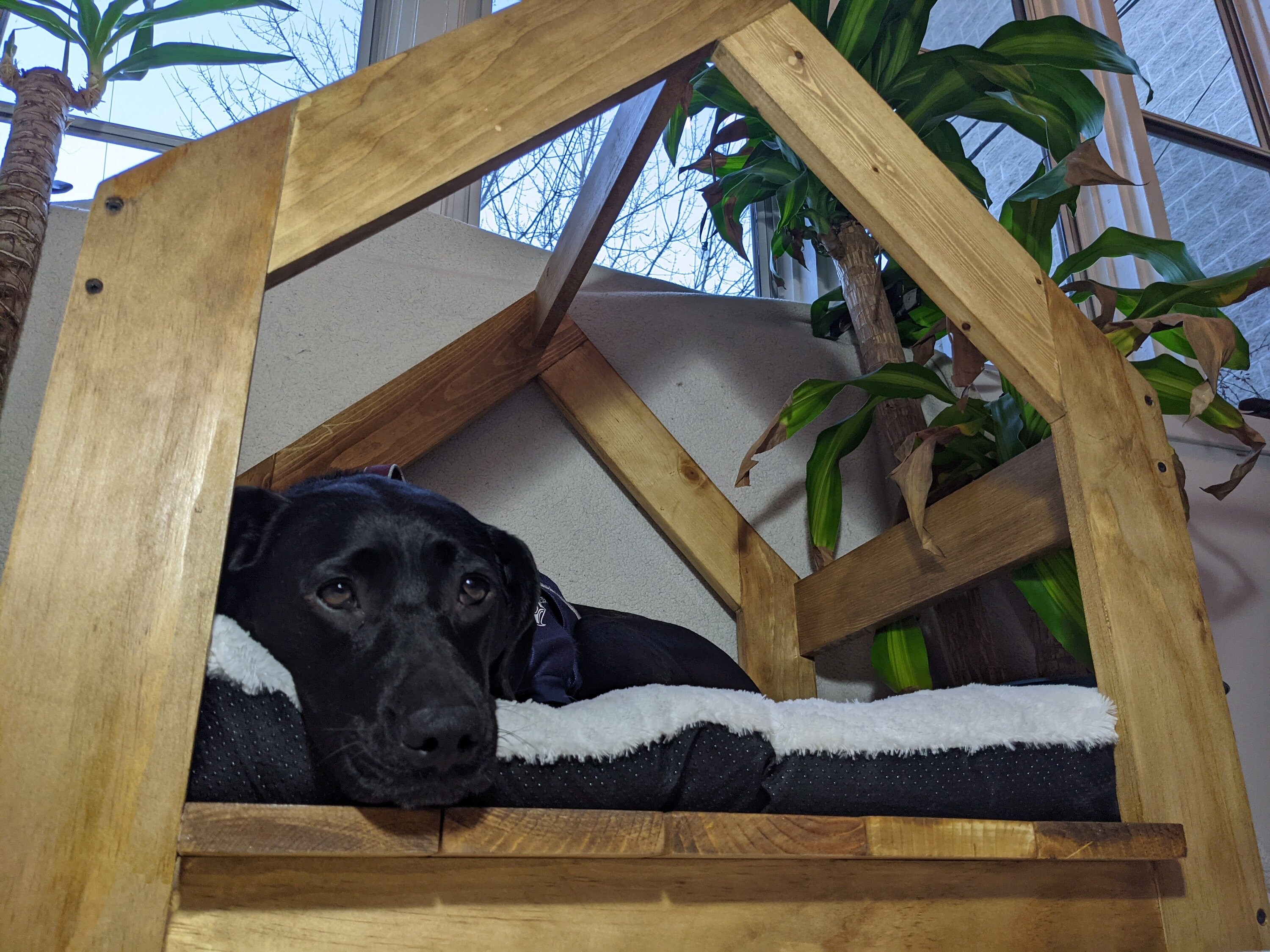 Modern indoor dog bed cat bed barn house scandinavian pet Etsy